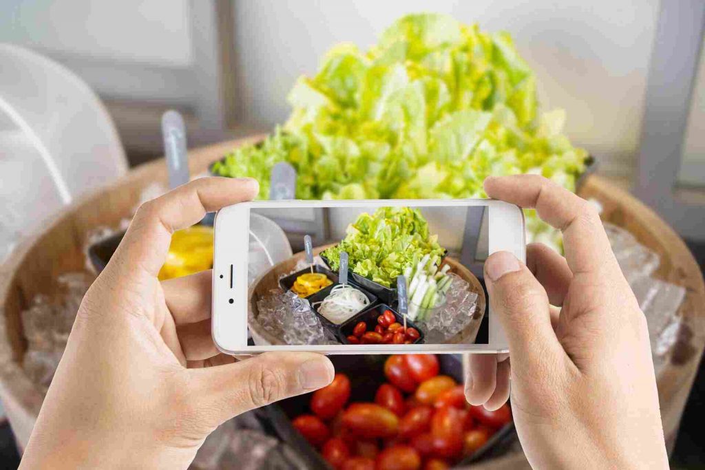 12 Things You Need to Know Before Going Vegan