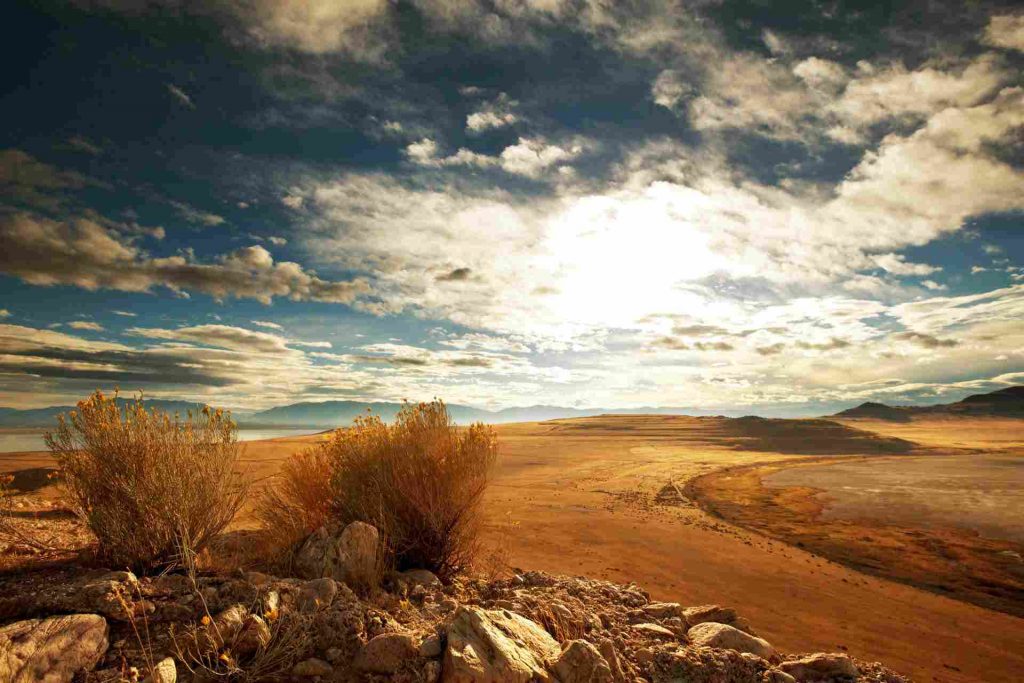 Beautiful Nature Photography examples