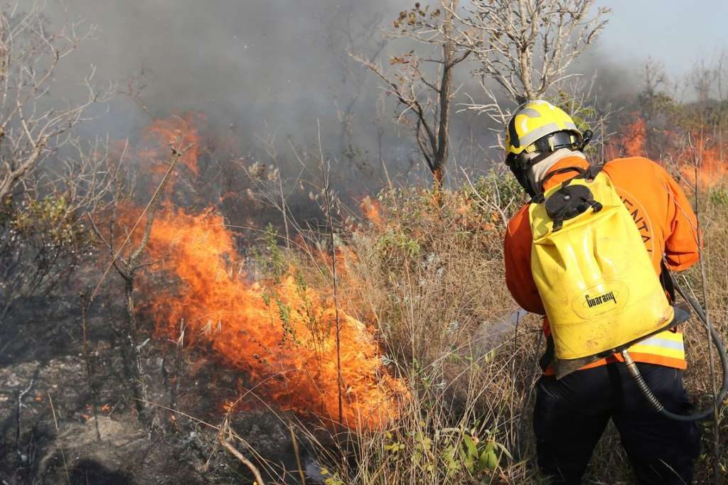 Distrito Federal decreta estado de emergência ambiental