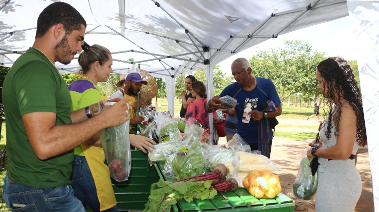 Em parceria com a Setur, Emater-DF leva produtores para 1ª Feira Flor do Cerrado