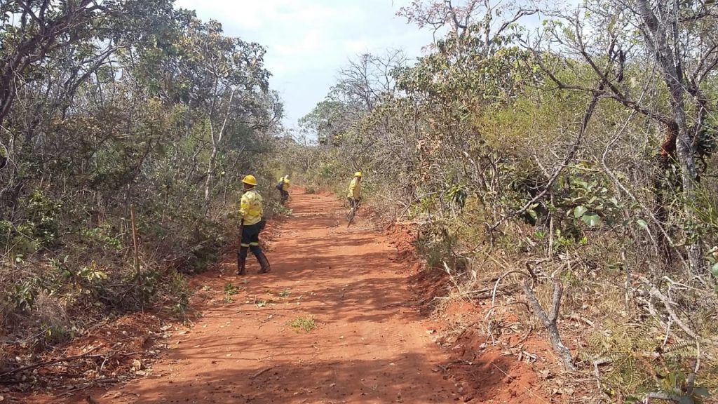 GDF articula ações de prevenção a incêndios em unidades de conservação