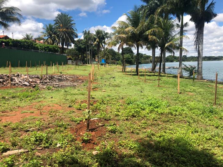 Começa recuperação na Orla do Paranoá e Parque do Riacho Fundo