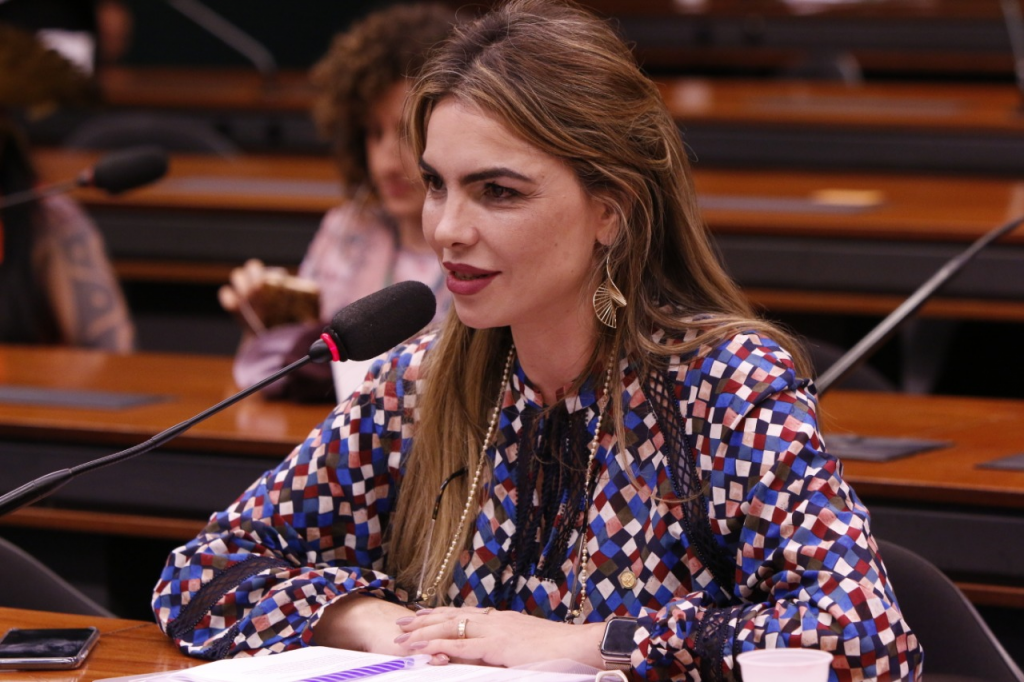 Emenda de Paula Belmonte a MP prevê seguro-desemprego a domésticos