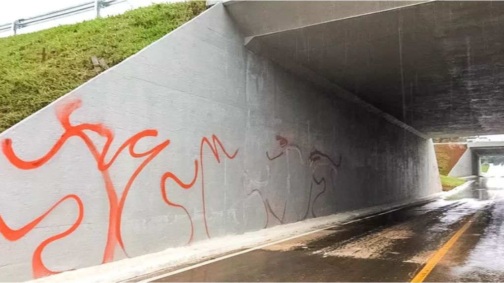 Pichadores serão multados em até  R$ 100 mil no Distrito Federal