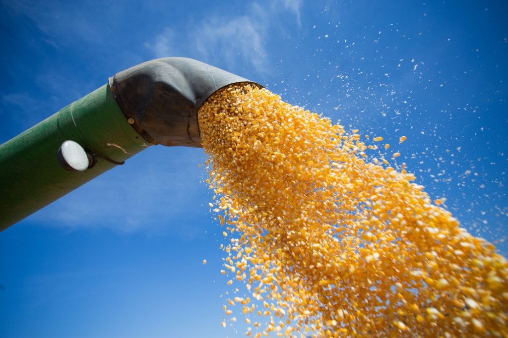 Safra de grãos 2019/2020 deve crescer 10,3% em Goiás, prevê Conab