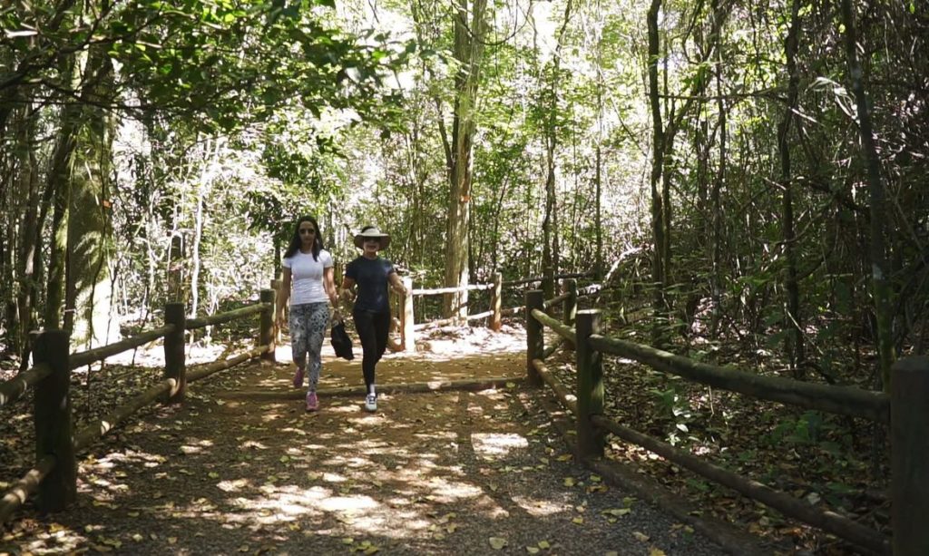 Bolsonaro assina decreto qualificando Parque Nacional de Brasília para concessão à iniciativa privada