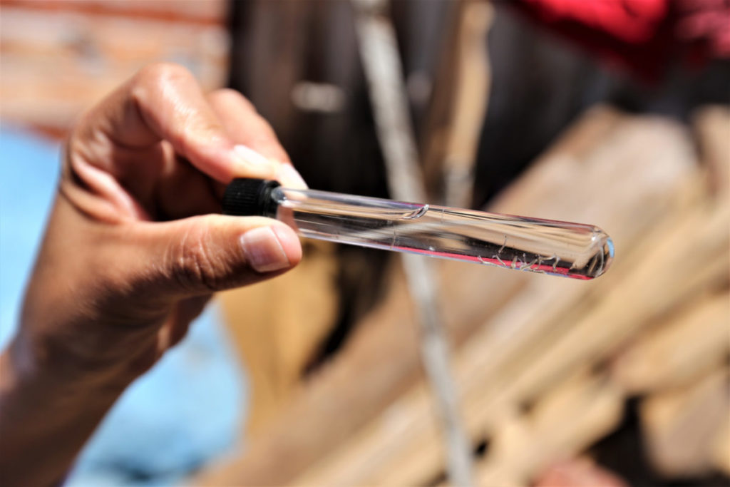 Com início das chuvas, população deve eliminar criadouros de Aedes aegypti