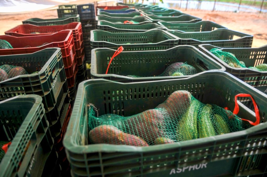 Produtor rural terá cartão para investir com até R$ 35 mil