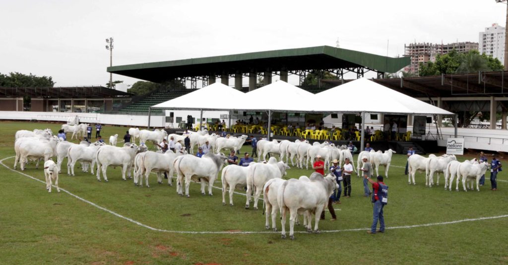 Caiado visita 57ª Exposição Agropecuária de Goiânia nesta sexta