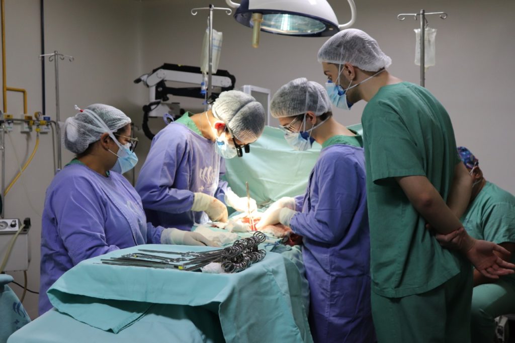 Goiás busca habilitação para realizar transplantes de pâncreas