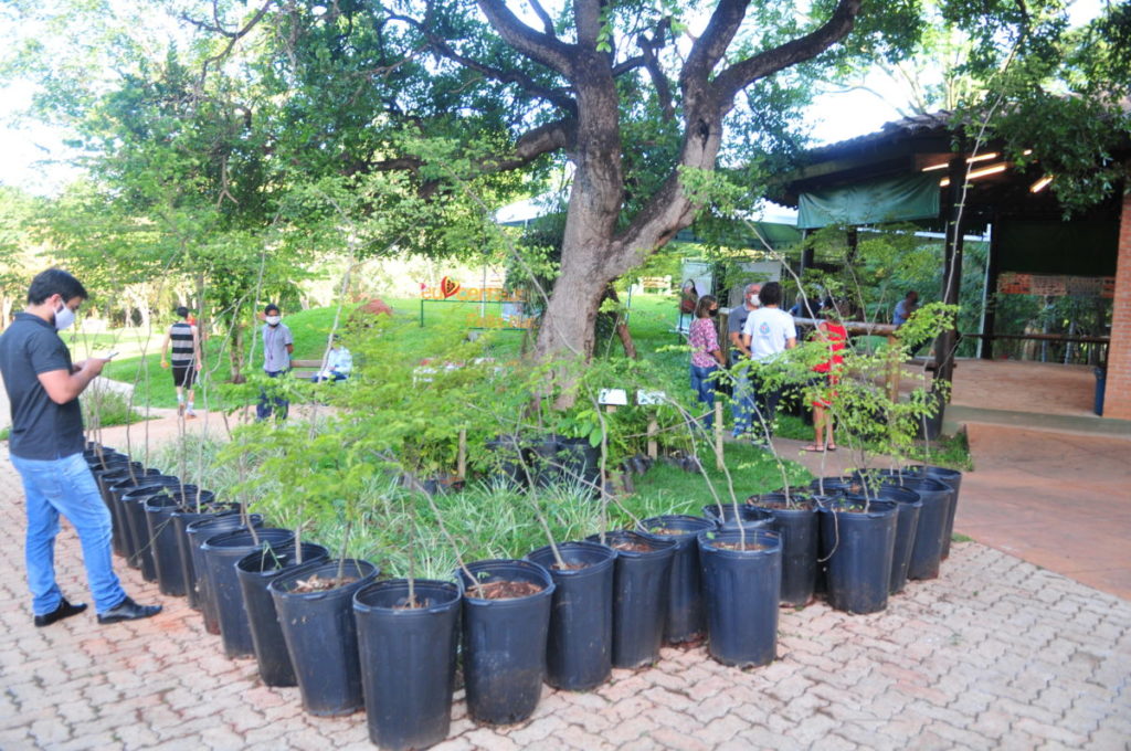 GDF celebra Natal e meio ambiente em parques