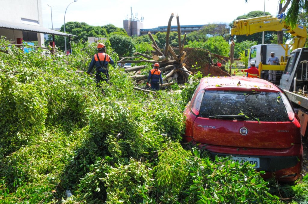 Órgãos do Governo do Distrito Federal agem com prontidão após o temporal