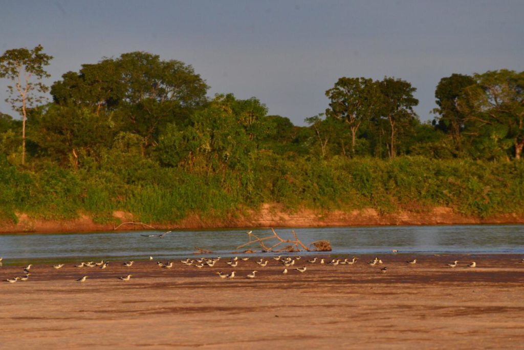 Proibida pesca na Bacia do Rio Araguaia
