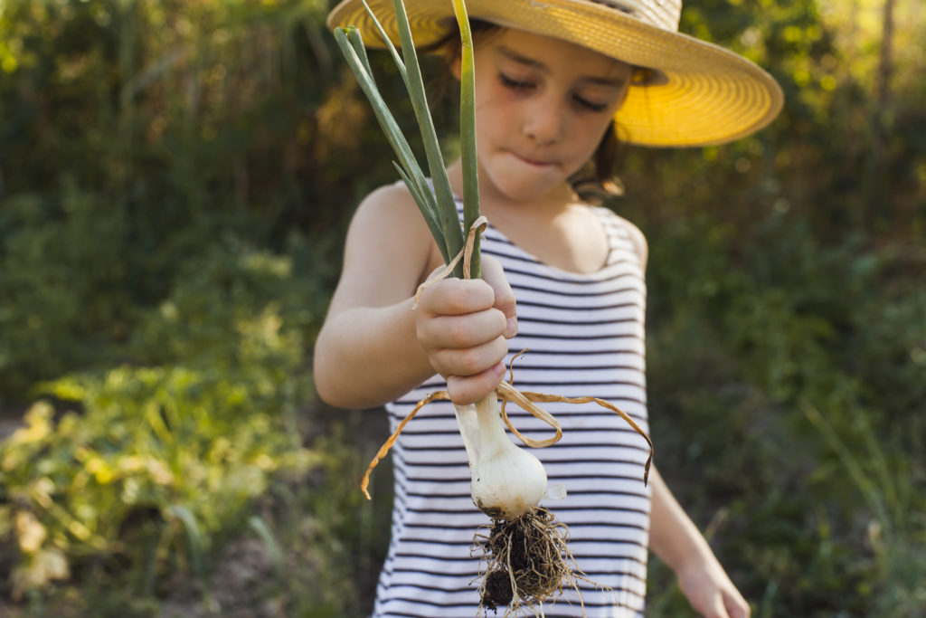 Cultivo de horta possibilita a aproximação das crianças com a natureza