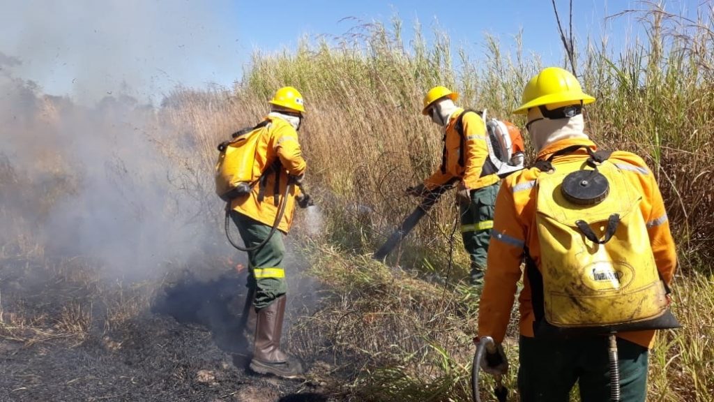 Curso forma brigadistas para combate a incêndios florestais no DF