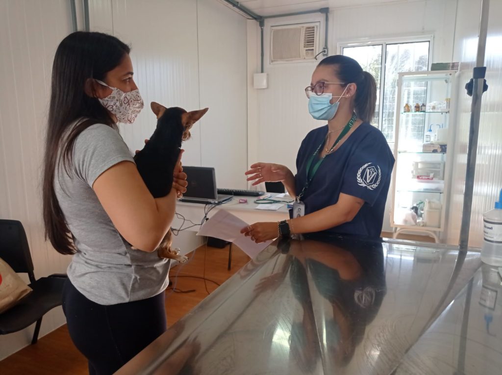 GDF abre na segunda-feira o agendamento eletrônico no Hospital Veterinário