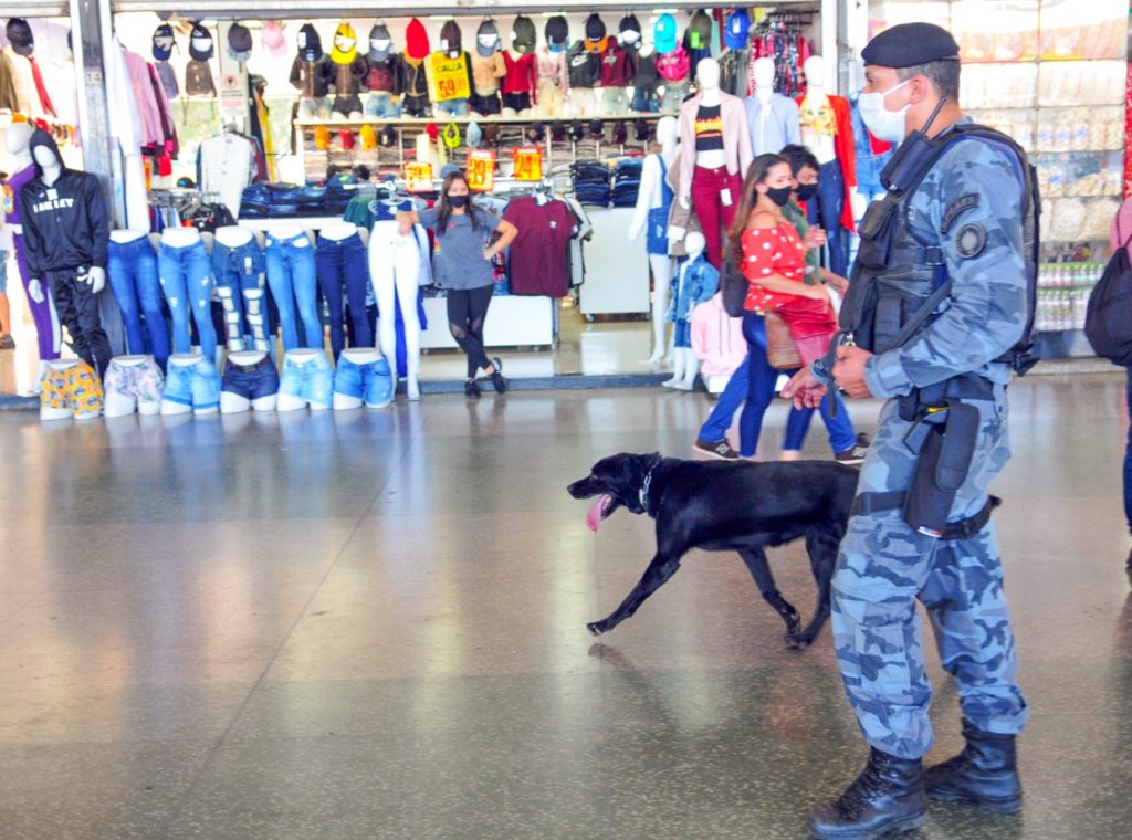 Policiamento com cães, o diferencial no combate às drogas