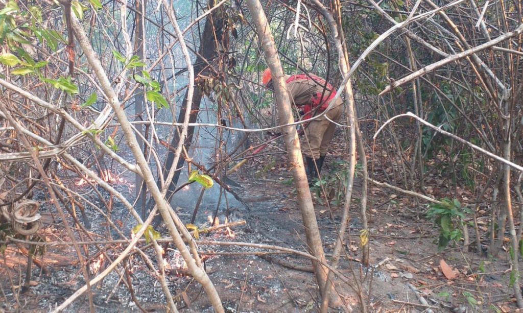 Chuva ajuda a apagar incêndios na Chapada dos Veadeiros