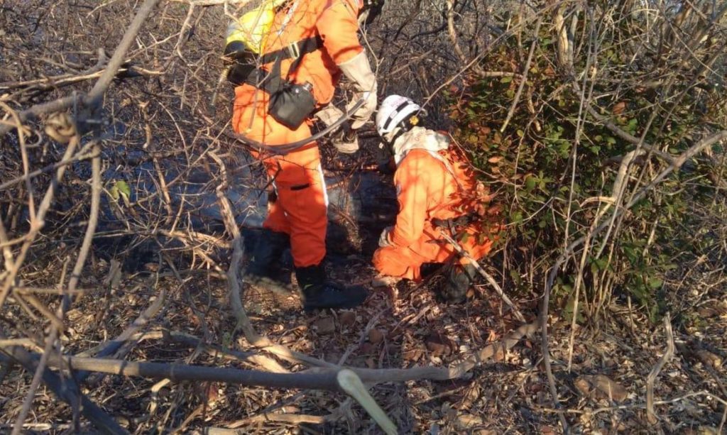 Ibram abre 150 vagas temporárias para brigadistas florestais no DF