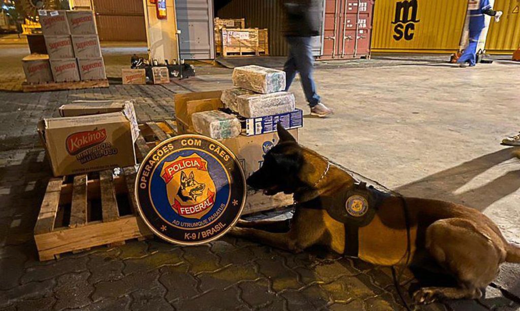 Polícia Federal apreende 5 toneladas de cocaína no porto do Rio