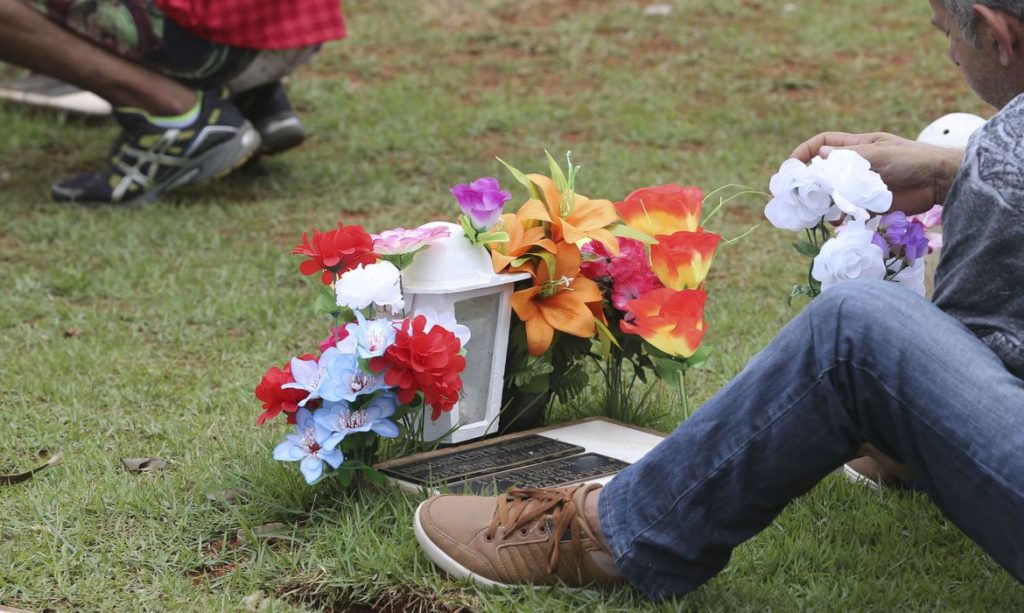 Comércio de flores do DF está otimista com as vendas para o Dia de Finados  
