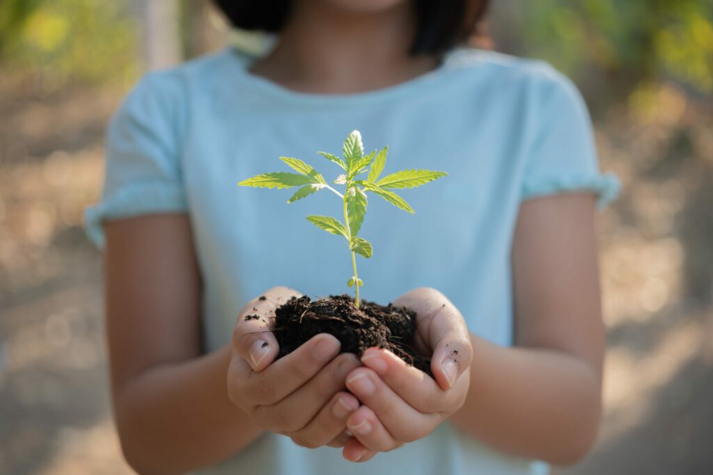 Instituto Bancorbrás apoia iniciativa para promover a educação socioambiental nas escolas públicas do estado de Goiás