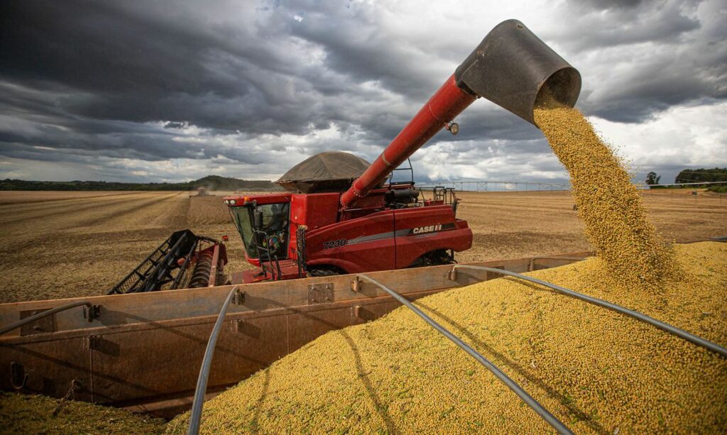 Crescimento do PIB goiano é puxado pelo aumento de produção da soja e de milho