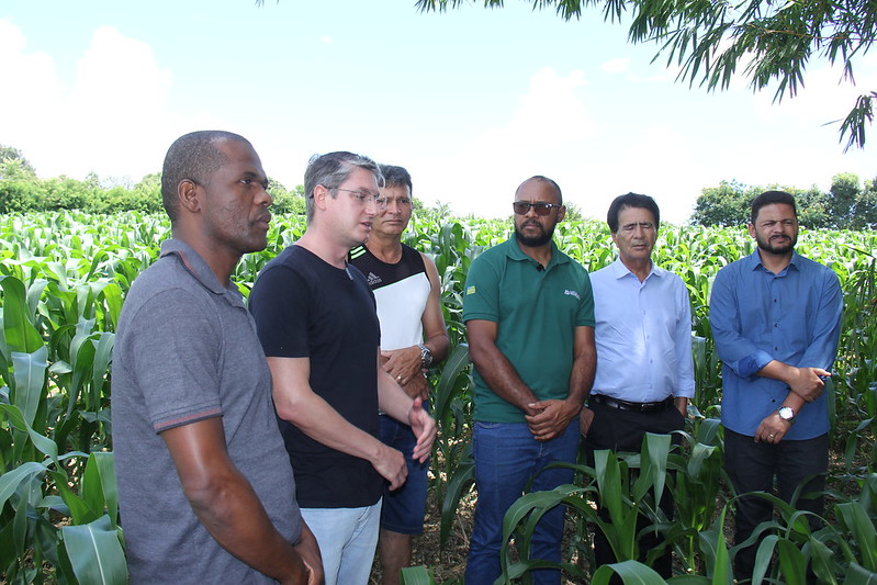 Prefeitura de Águas Lindas auxilia agricultor na produção de silagem de milho