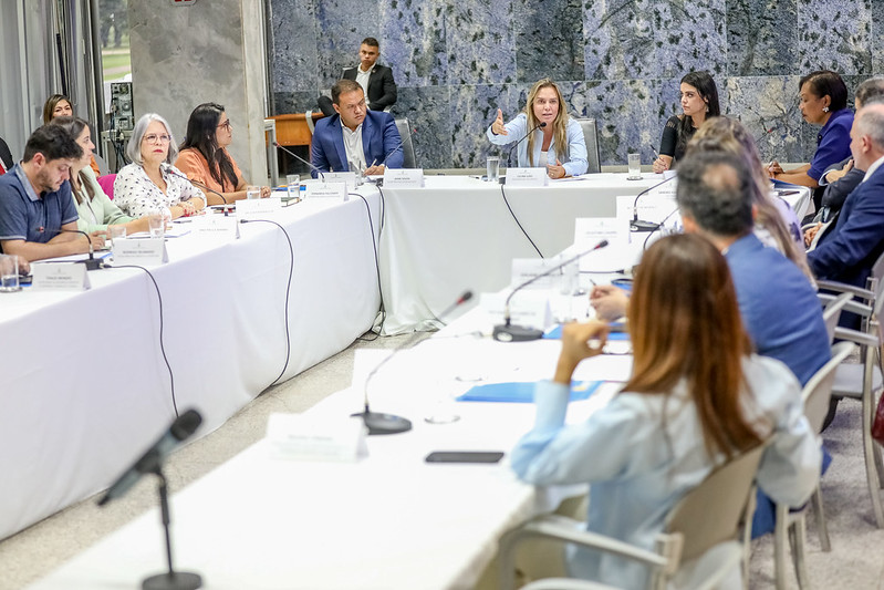 Comitê do GDF de combate ao feminicídio define primeiras ações