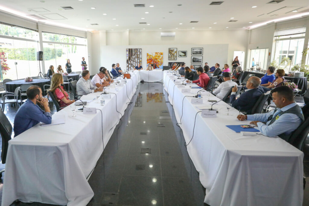 Celina Leão e distritais discutem pautas prioritárias para o Distrito Federal