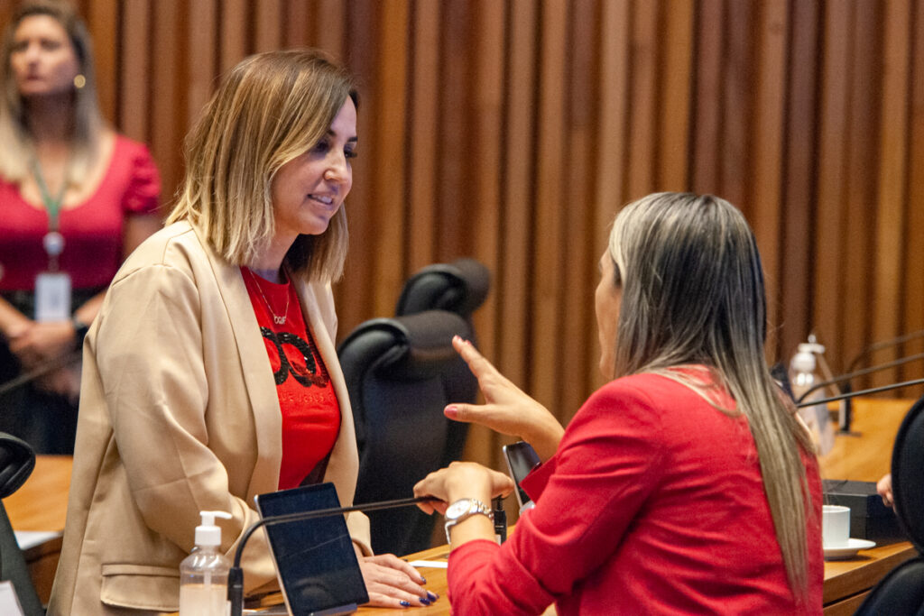 Câmara Legislativa aprova primeira leva de projetos de lei em defesa das mulheres