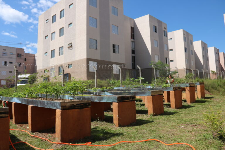 Horta comunitária no Parque dos Ipês desperta interesse internacional