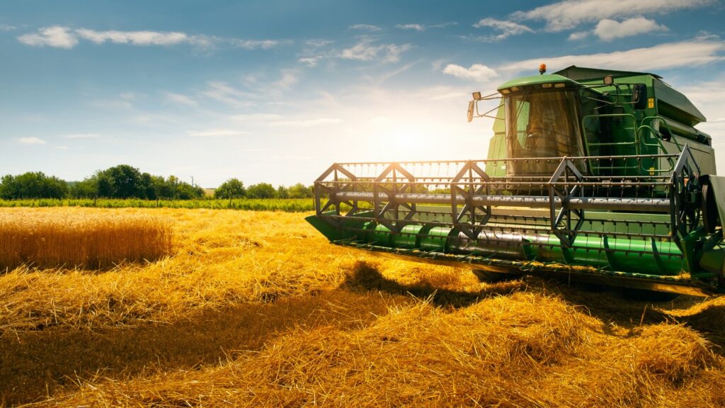 Produção de grãos está próxima a 800 mil toneladas na safra 2023/2024