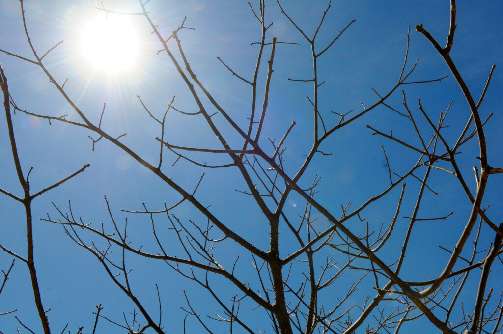 DF entra em alerta com onda de calor e população deve manter cuidados