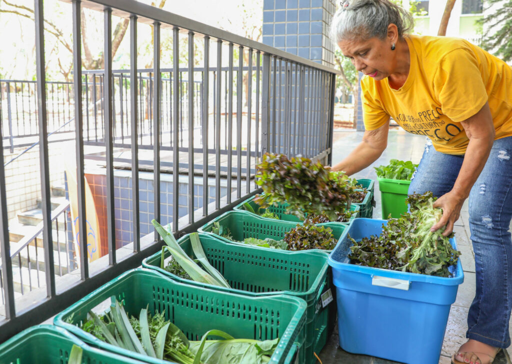 Alimentação escolar de 43 mil alunos do DF contará com produtos orgânicos