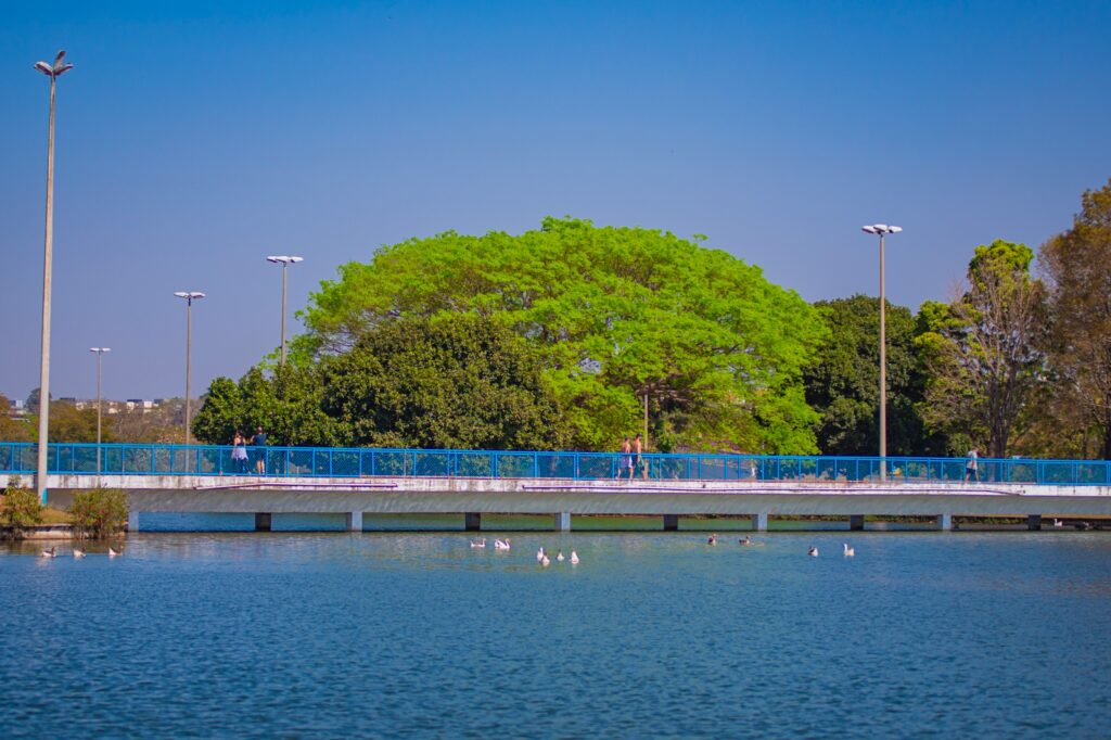 Chega a temporada de Verão e Inmet prevê calor com chuvas e trovoadas no Distrito Federal