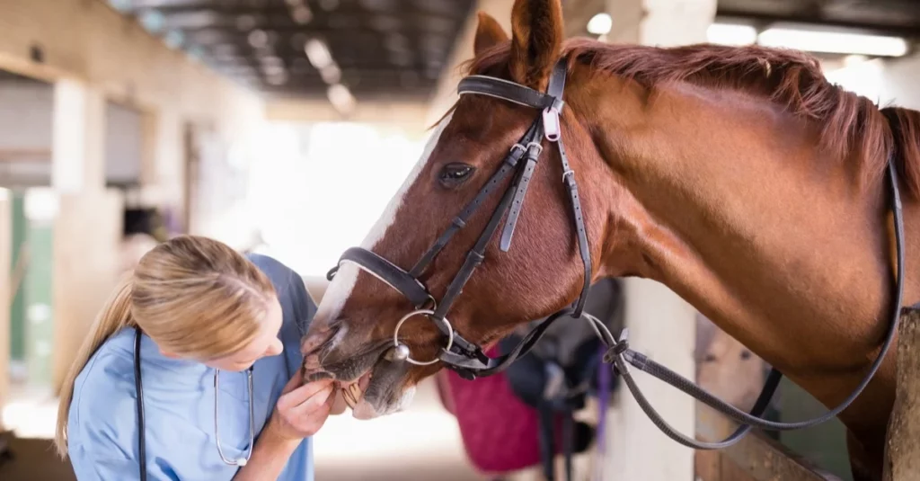 Artigo |  Inteligência Artificial na Medicina Veterinária: aliada ou concorrente?