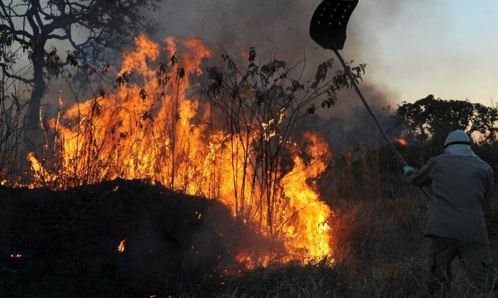 GDF decreta emergência ambiental para reforçar combate a incêndios