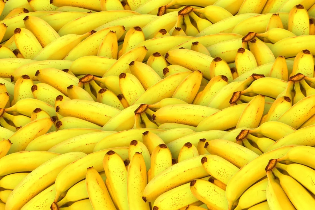 PILULAS DA VERDADE