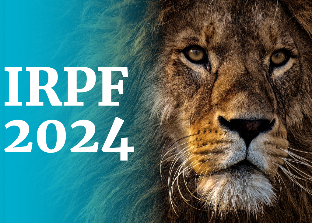 DIRPF 2024: principais mudanças e como evitar erros