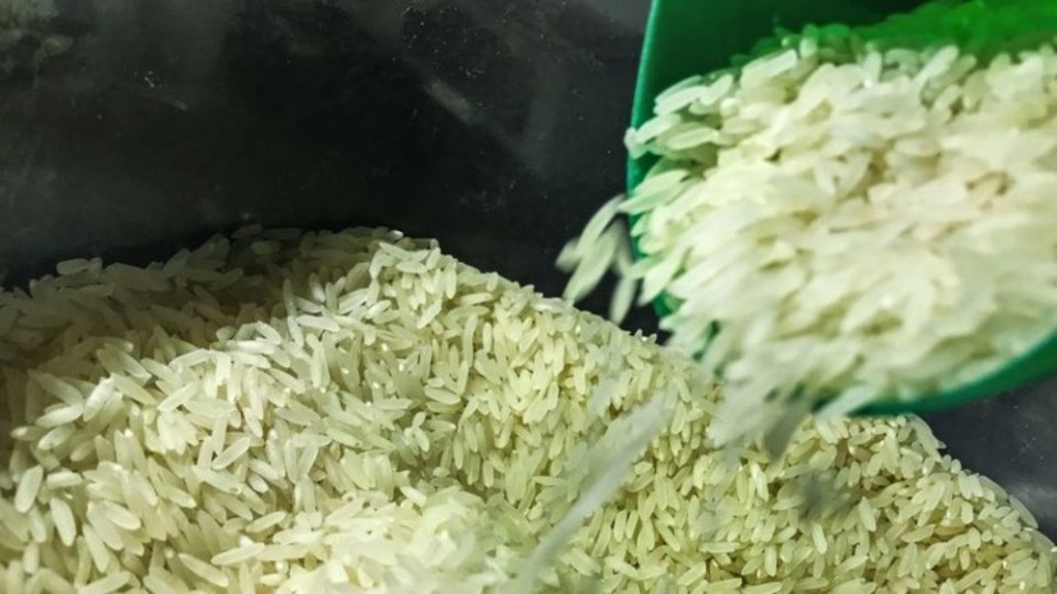 Governo Lula anula leilão de compra de arroz após irregularidades
