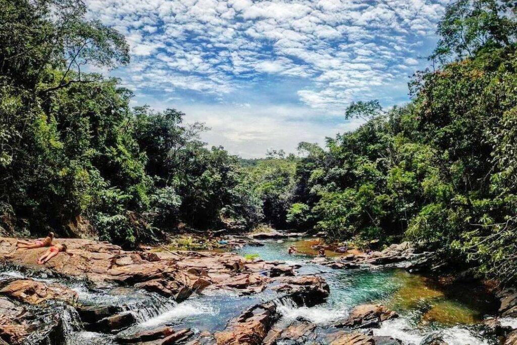 Programação especial para comemorar a Semana do Meio Ambiente