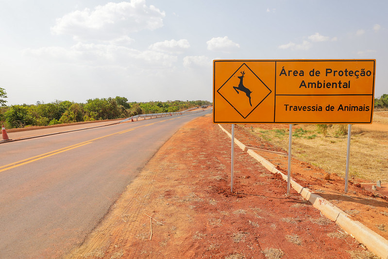 Equipes trabalham na construção de corredores de fauna na DF-131