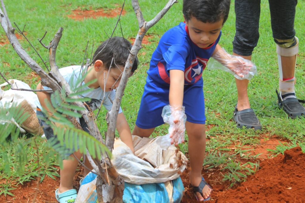 DF celebra Dia de Plantar no domingo com ações em diversos parques