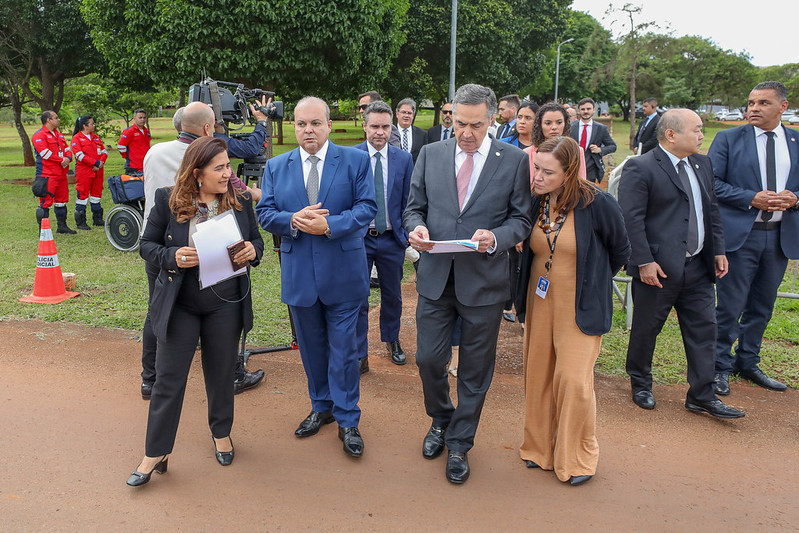 GDF conclui plantio de 5,6 mil mudas nativas em bosque do STF