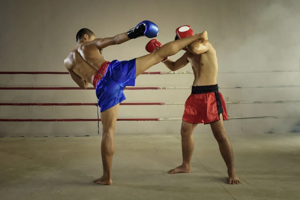 Brasília recebe pela primeira vez Campeonato Brasileiro de Muay Thai