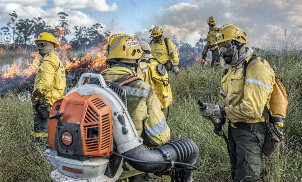 DF declara estado de emergência para combater incêndios florestais