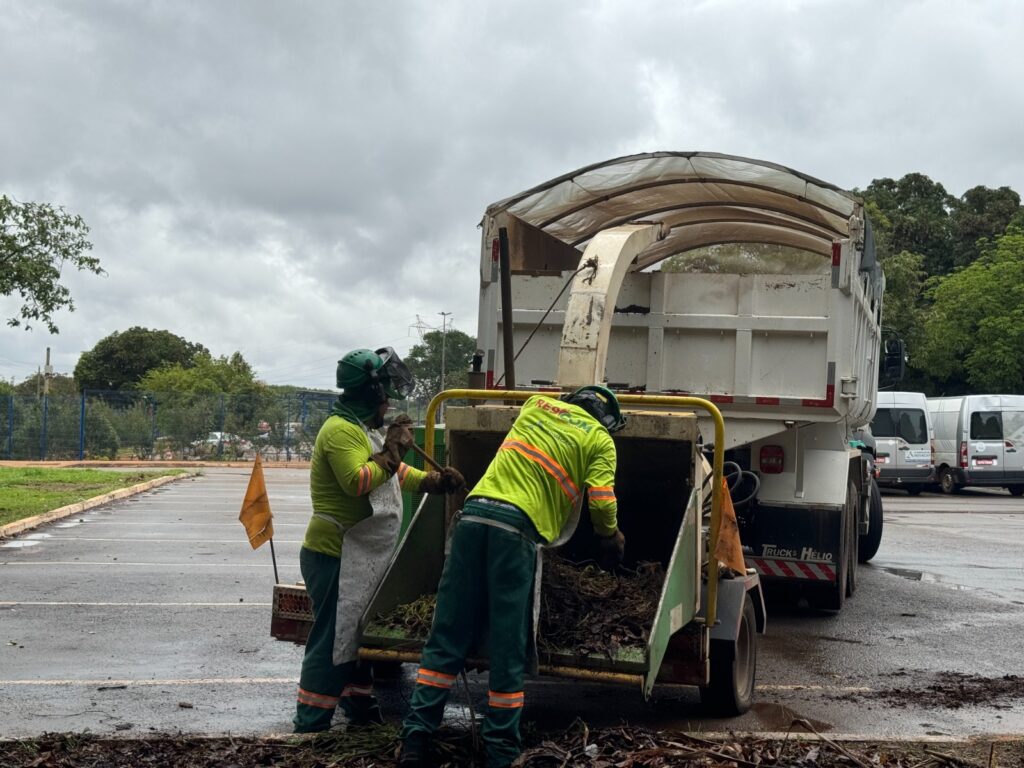 Novacap acelera coleta de resíduos vegetais no Distrito Federal