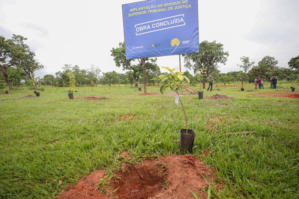 STJ inaugura bosque com 2 mil mudas doadas e plantadas pelo GDF