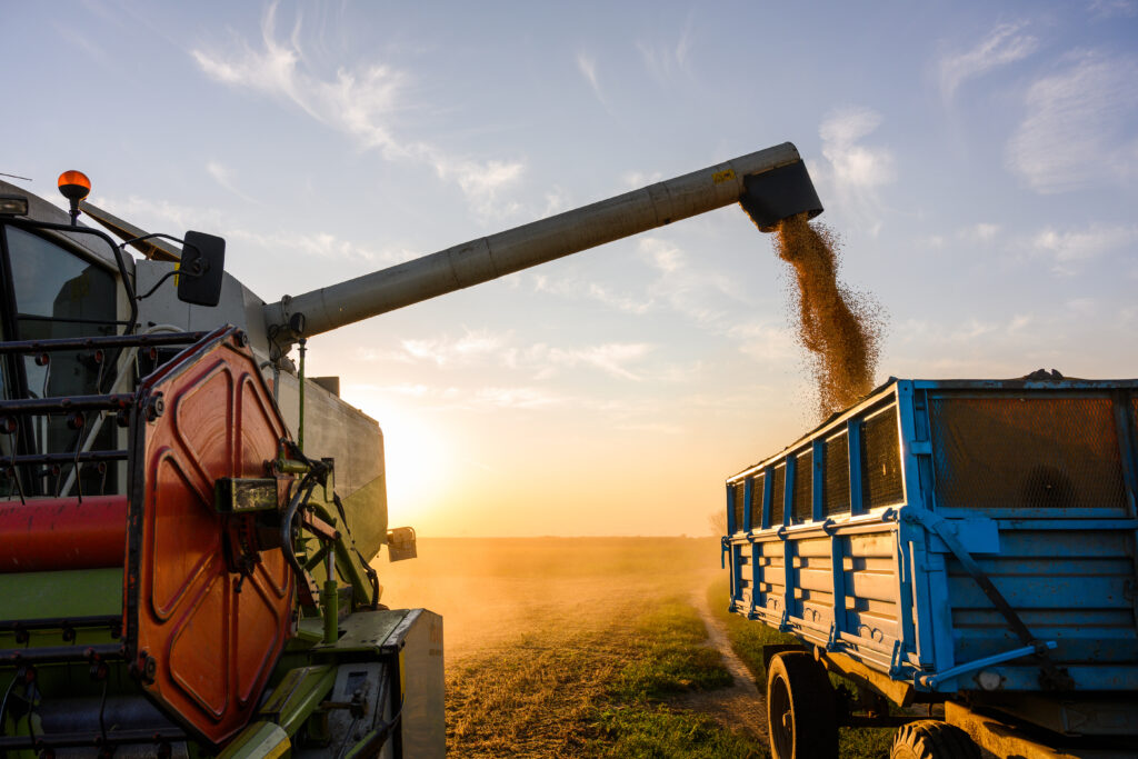 Goiás fecha 2024 com recordes no agronegócio e consolida posição
